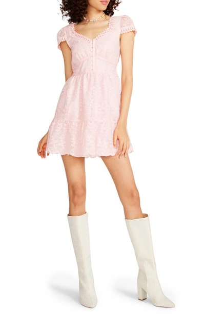 Betsey Johnson Jessica Lace Minidress In Almond Blossom