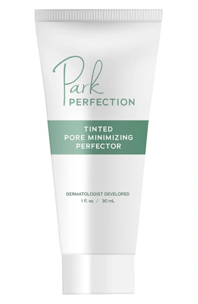 Park Perfection Tinted Pore Minimizing Perfector