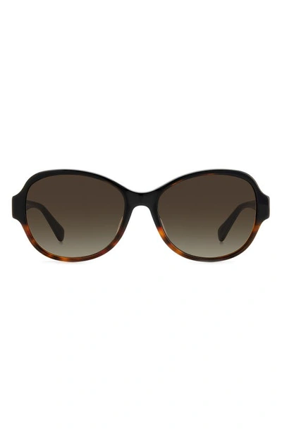 Kate Spade Addilynn 57mm Gradient Round Sunglasses In Black Havana/ Brown Gradient