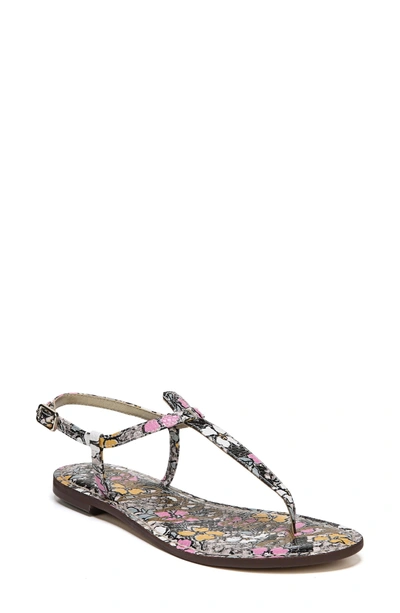 Sam Edelman Gigi Sandal In Bright Multi Snake Print