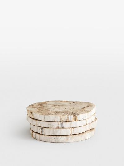 Soho Home Balfern Petrified Wood Coasters In White
