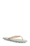 Asportuguesas Turtle Flip Flop In Mint/pink Rubber