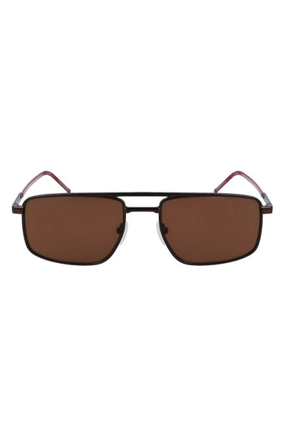 Lacoste 56mm Rectangular Sunglasses In Matte Brown