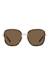Tory Burch 53mm Square Sunglasses In Dk Tort