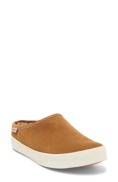 Staheekum Cami Faux Shearling Lined Suede Slipper In Wheat