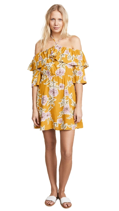 Cupcakes And Cashmere Fonda Dress In Yellow Gold