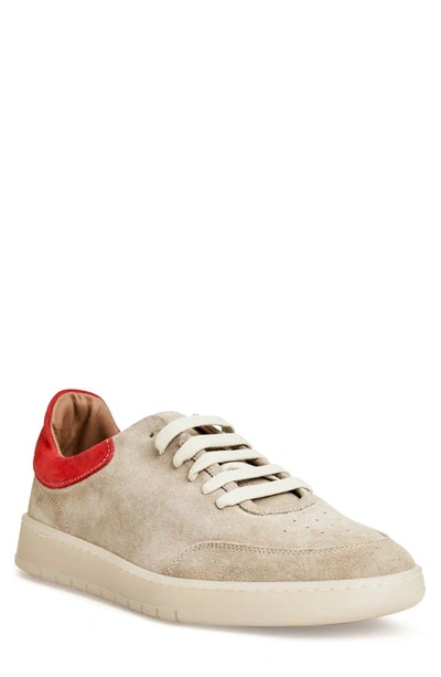 Bruno Magli Savio Sneaker In Sand Suede