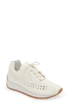 Chocolat Blu Seville Sneaker In White Leather