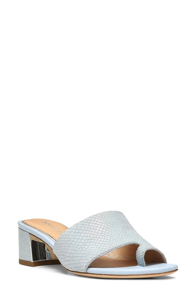 Donald Pliner Melros Slide Sandal In Sky