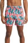 Boardies Cactus Eyeballs Printed Shell Swim Shorts In Pink