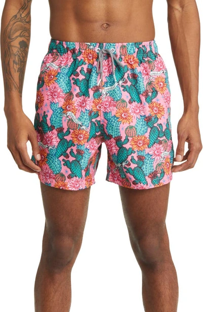 Boardies Cactus Eyeballs Printed Shell Swim Shorts In Pink