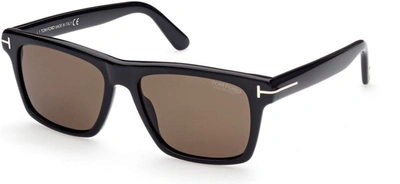 Tom Ford Buckley Polarized Sunglasses In Black