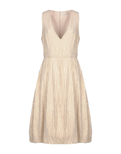 Alice And Olivia Midi Dress In Sand