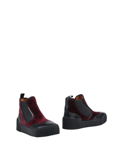 Marc By Marc Jacobs Ankle Boots In Maroon