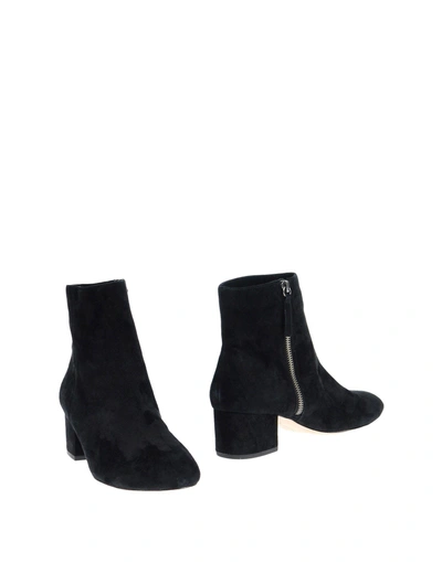 Halston Heritage Ankle Boots In Black