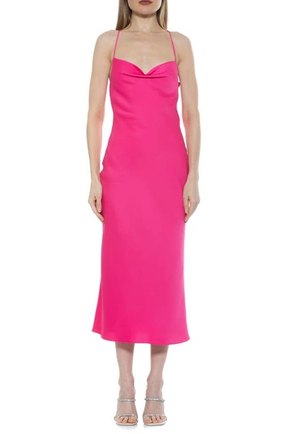 Alexia Admor Dionee Draped Cowl Neck Midi Dress In Hot Pink