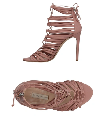 Cesare Casadei In Pastel Pink