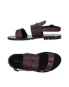 Dsquared2 Sandals In Maroon