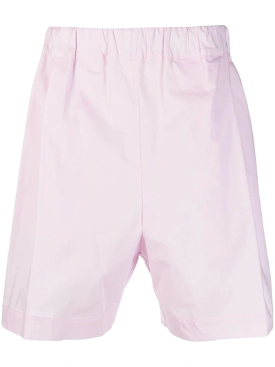 Laneus Logo-embroidered Cotton Shorts In Pink