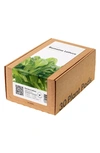 Click & Grow Smart Garden 30-pack Lettuce Plant Pods In Romaine Lettuce
