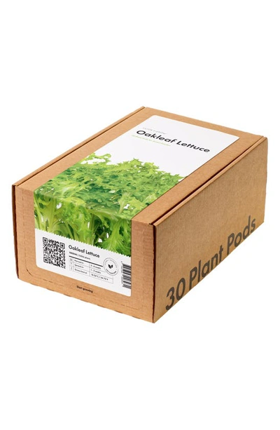 Click & Grow Smart Garden 30-pack Lettuce Plant Pods In Oakleaf Lettuce