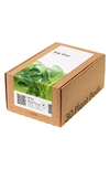 Click & Grow Smart Garden 30-pack Lettuce Plant Pods In Pak Choi