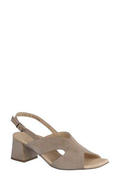 Paul Green Remy Slingback Sandal In Champagne Suede