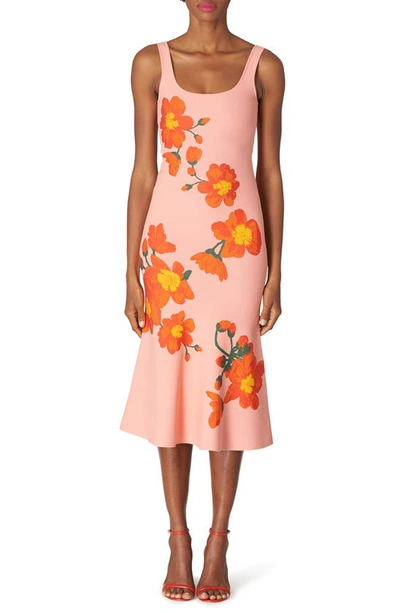 Carolina Herrera Trumpet Midi Dress With Intarsia Knit Floral Detail In Shell Pink Multi