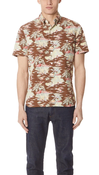 Polo Ralph Lauren Tropical Short Sleeve Shirt In Brown