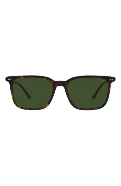 Polo Ralph Lauren 56mm Square Sunglasses In Shiny Havana