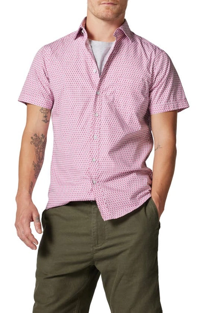Rodd & Gunn Rosebank Neat Short Sleeve Button-up Shirt In Rosewater