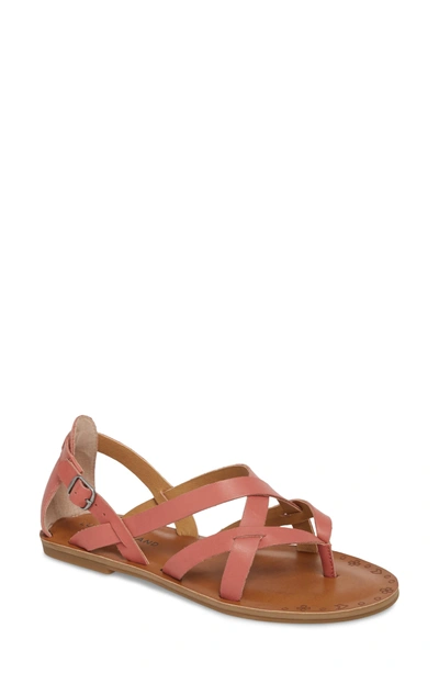 Lucky Brand Ainsley Flat Sandal In Canyon Rose Leather