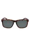 Cole Haan 57mm Squared Polarized Sunglasses In Tortoise