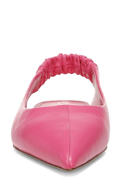 Sam Edelman Whitney Pointed Toe Flat In Carmine Rose