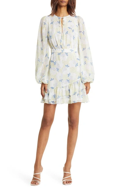 Ted Baker Women's Suziiee Floral-printed Minidress In Sky Blue