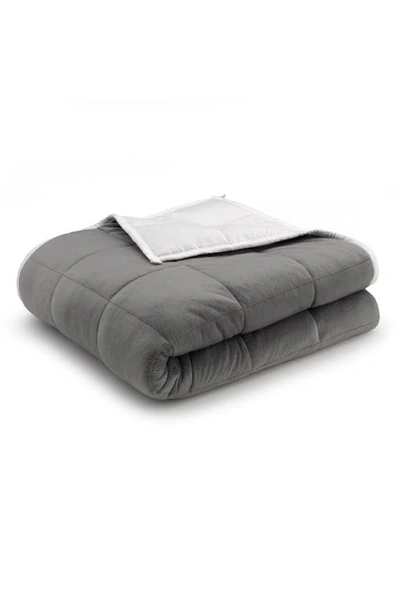 Ella Jayne Home Weighted Anti-anxiety Blanket In Grey/white