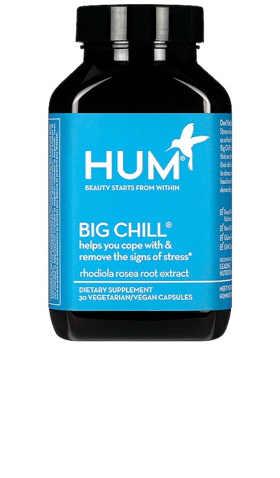 Hum Nutrition Big Chill® Adaptogen Stress Management Supplement 30 Capsules In N,a