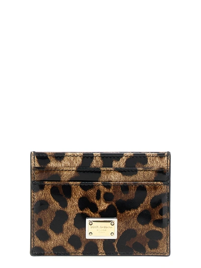 Dolce & Gabbana Leopard Print Card Holder In Multicolor
