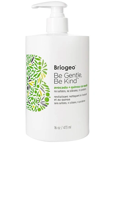 Briogeo Be Gentle, Be Kind Avocado + Quinoa Co-wash In N,a