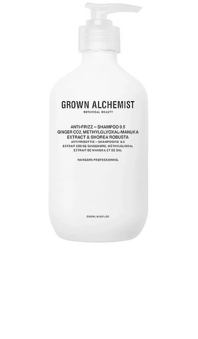 Grown Alchemist Anti-frizz Shampoo 0.5 In Ginger Co2 & Methylglyoxal-manuka Extrac