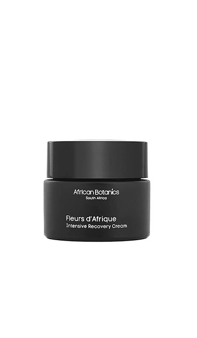 African Botanics Fleurs D'afrique Intensive Recovery Cream In N,a