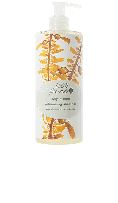 100% Pure Kelp & Mint Volumizing Shampoo In N,a