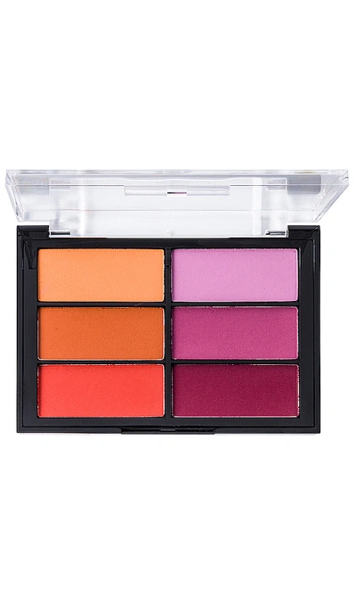 Viseart Blush Palette 블러시 팔레트 In 03 Orange & Violet