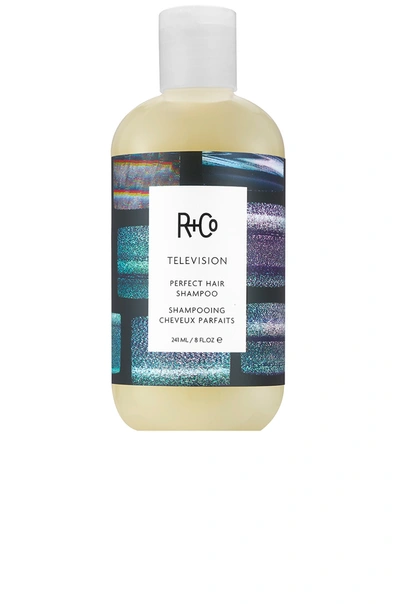 R + Co Television Perfect Hair Shampoo 洗发液