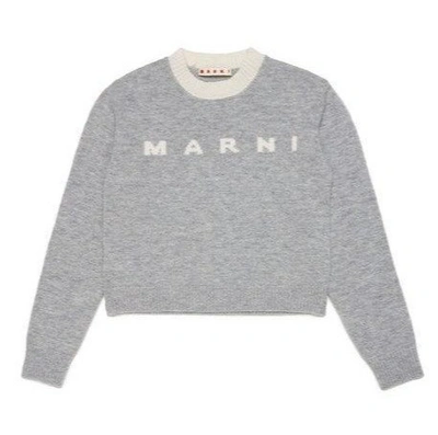 Marni Kids Gray Intarsia Sweater In Grey