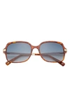 Ted Baker 56mm Square Sunglasses In Amber