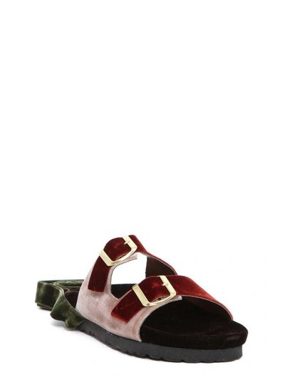 Gia Couture Velvet Sandals In Multicolor