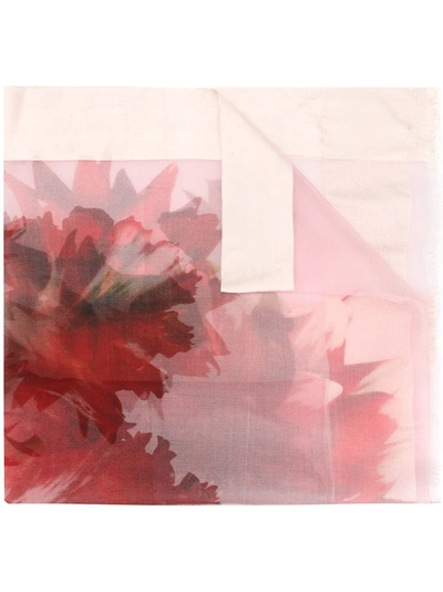 Faliero Sarti Floral-print Scarf