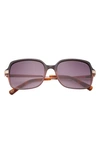 Ted Baker 56mm Square Sunglasses In Burgundy