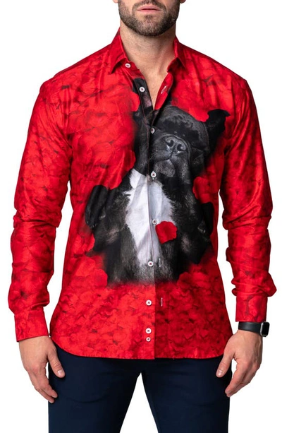 Maceoo Fibonacci Valentine's Dog Contemporary Fit Button-up Shirt In Red